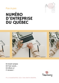 Charger l'image dans la visionneuse de la galerie, Pas-à-pas - Comment obtenir son numéro d’entreprise du Québec (NEQ) ™
